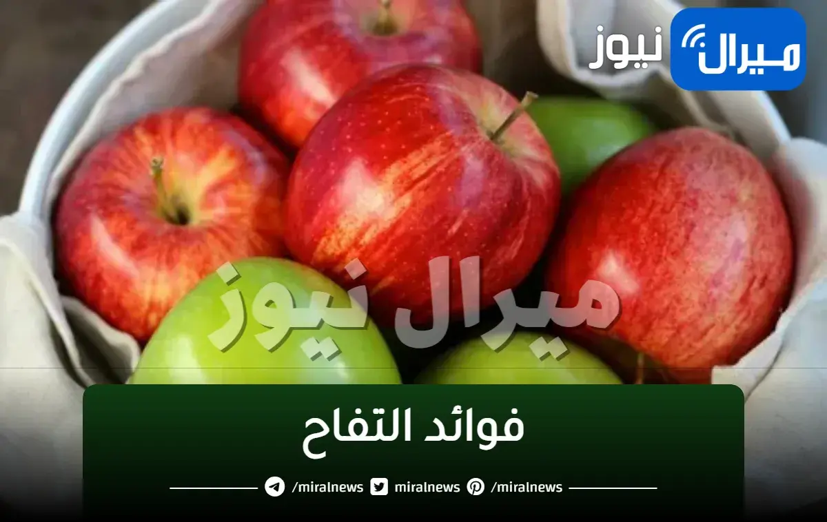 فوائد التفاح على الريق لتخسيس الجسم والتخلص من الدهون في البطن والأرداف