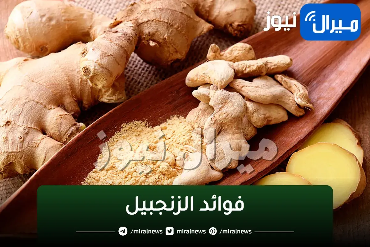 فوائد الزنجبيل بالتفصيل
