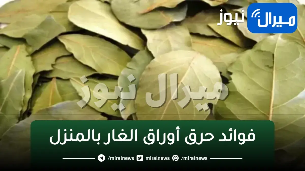 عليكم بحرق ورقة من أوراق الغار بمنزلكم يوميا لهذه الاسباب