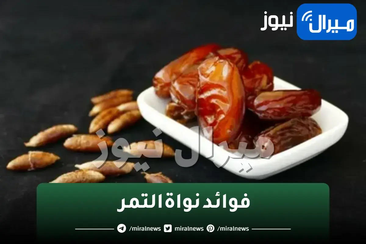 أوعي ترميه تاني.. بذور البلح كنز في بيتك مش هتصدقي هتقدري تعملي بيها ايه