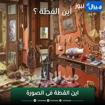 اين القطة فى الصورة