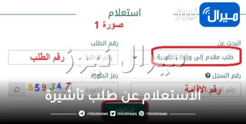 الاستعلام عن طلب تأشيرة رابط منصة انجاز خدمات التأشيرات الإلكترونية وزارة الخارجية السعودية enjaz