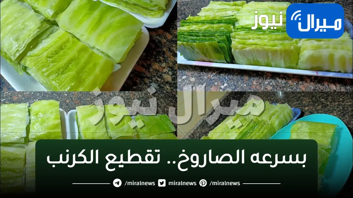 بسرعه الصاروخ.. تقطيع الكرنب بكل سهولة وفي أسرع وقت هتقطعي أكبر كمية