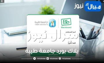 نظام بلاك بورد جامعة طيبة طلاب وأعضاء هيئة التدريس رابط taibahu.edu.sa