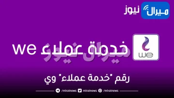 رقم “خدمة عملاء” وي we وكيفية التواصل مع الدعم الفني في شركة we