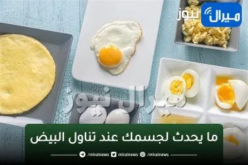 ضار أم مفيد؟..هذا ما يحدث لجسمك عند تناول البيض يوميا
