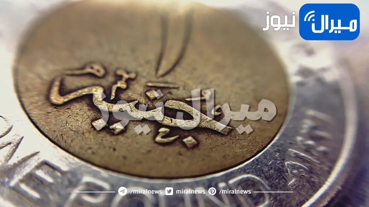 فتش جيوبك والحق آلاف الجنيهات .. عملة معدنية قديمة تجعلك تربح 11 ألف جنيه مصري بشرط واحد!