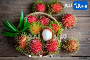 احذر بشدة.. بذور هذه الفاكهة قد تنهي حياتك