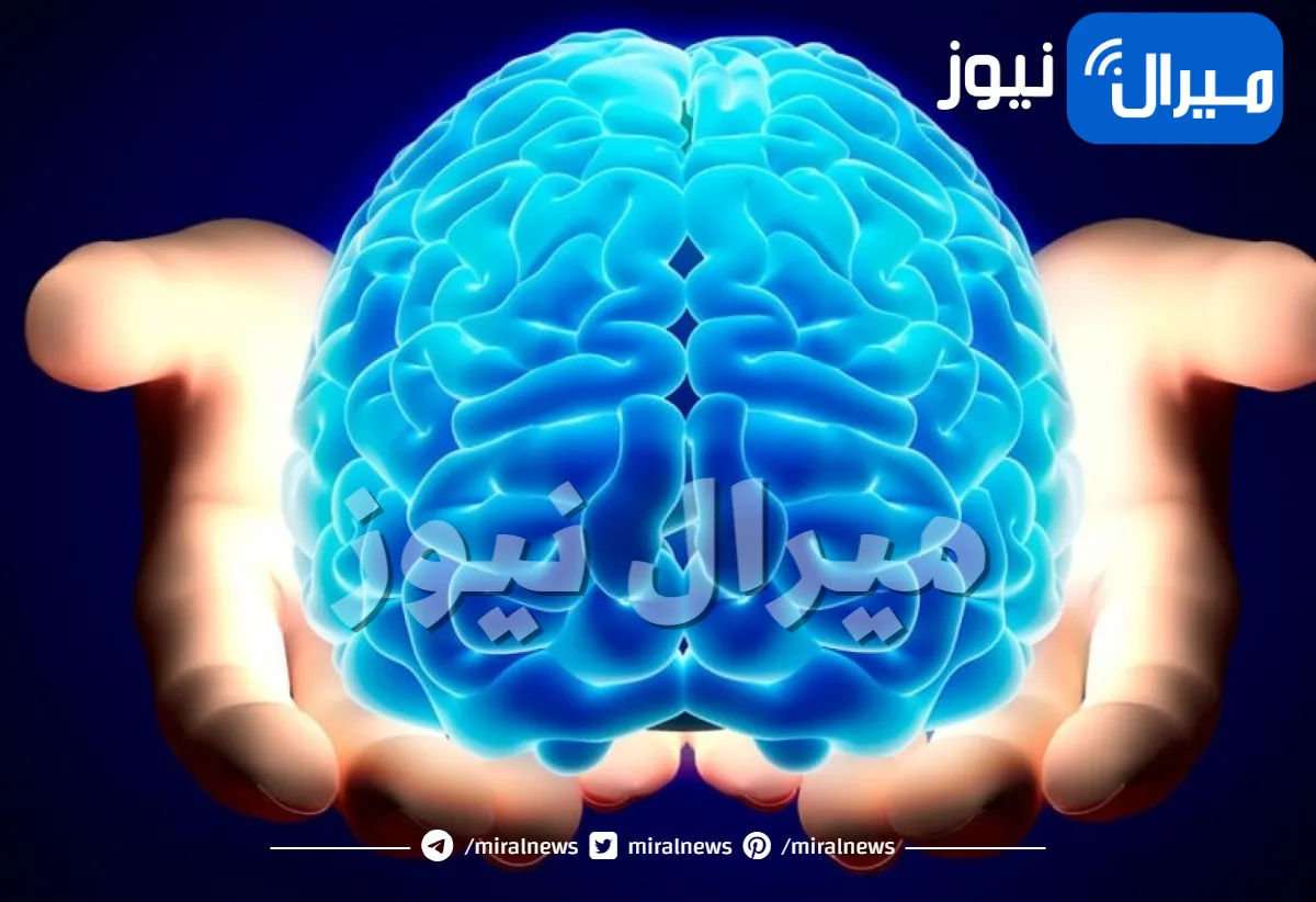 وداعاً للنسيان .. 5 أعشاب معجزة لــ ذاكرة قوية وتركيز عالي وذكاء حاد