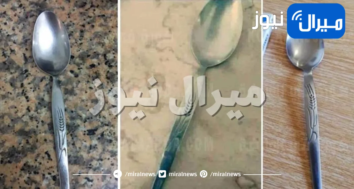 دور عليها في بيتك بسرعة ثقلها يساوي دهب.. علامة في ملاعق السنبلة ترفع سعرها لآلاف الجنيهات إعرف الحقيقة