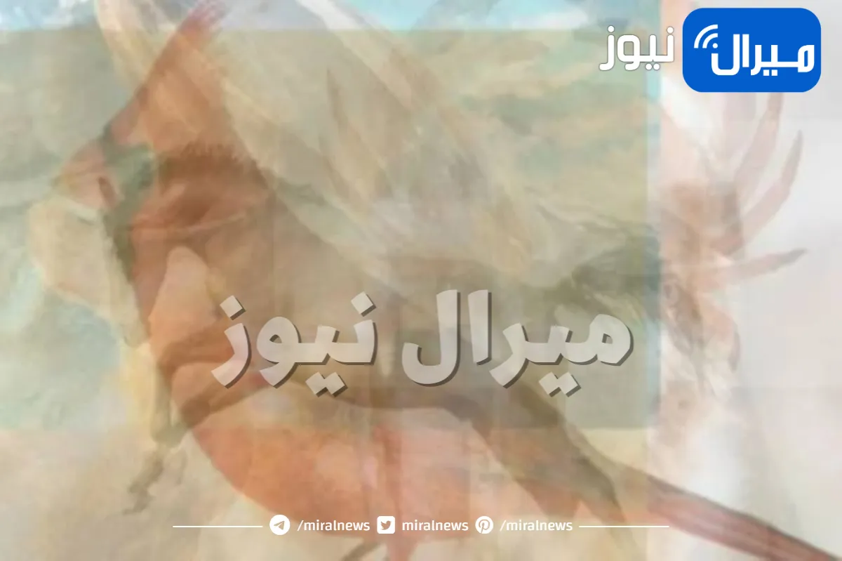 ركز جيدا .. ما تقع عيناك عليه أولاً في هذه الصورة يكشف عن لغة حبك وأسرار كثيرة في شخصيتك (صور)