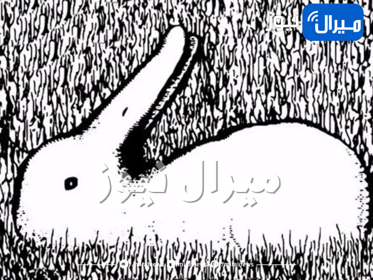 خدعة بصرية : أول ما تشاهده في هذه الصورة يعكس شخصيتك ويكشف هل أنت واقعية أم متفائلة؟ … اكتشف المزيد!