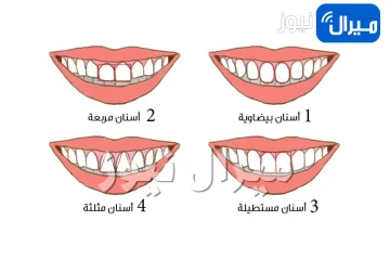 ما الذي يقوله شكل أسنانك عنك وعن أسرار شخصيتك الدفينة؟.. اعرفي المزيد