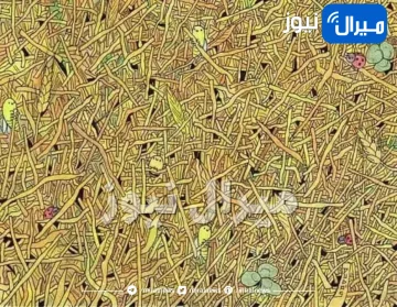 اختبار شخصية يكشف هل لديك عيون الصقر وذكي وفطن عبر حلّك لهذا الخداع البصري في 9 ثوان .. اكتشف المزيد!!