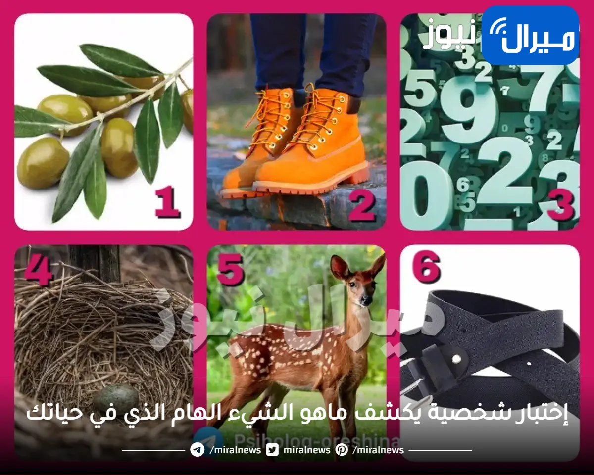 أغرب إختبار شخصية يكشف ماهو الشيء الهام الذي في حياتك يجب أن تغيره فورا .. هل العمل أم الدراسة او شريك حياتك؟