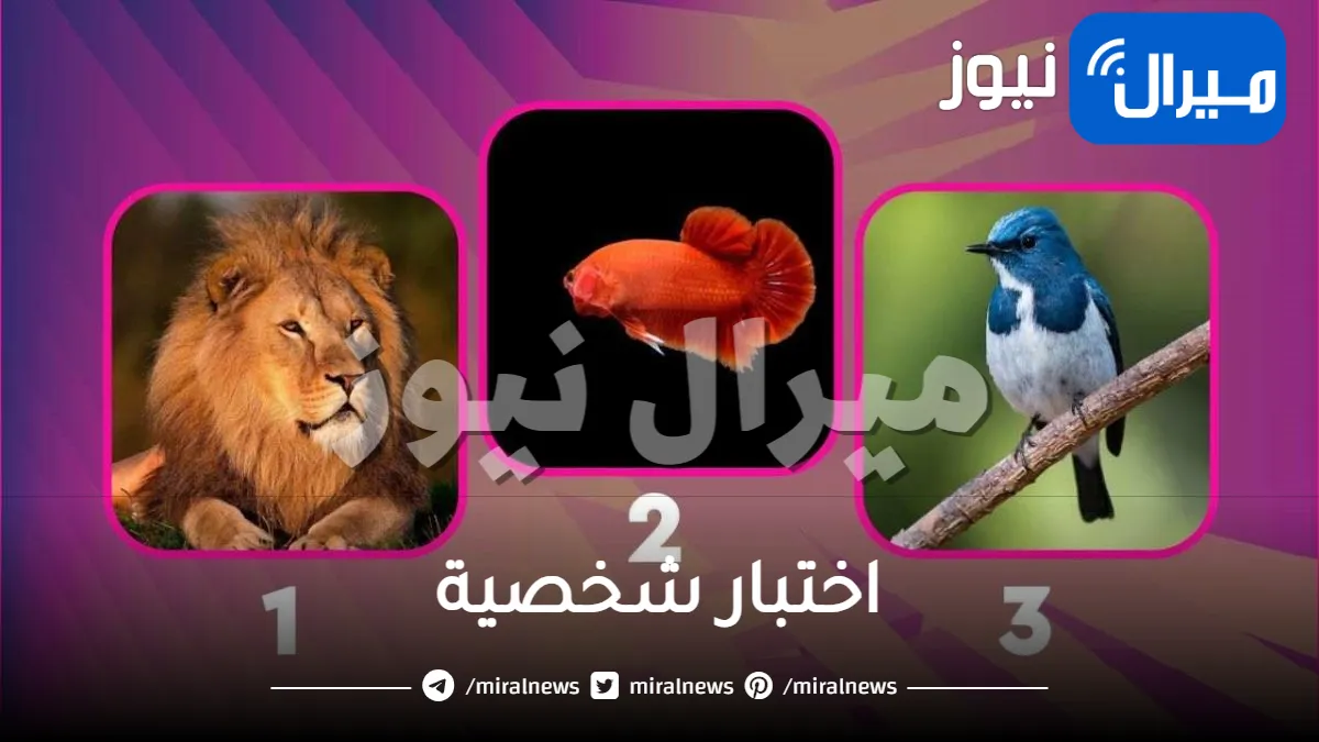 اختبار شخصية مذهل يكشف أكبر نقاط ضعفك عبر الحيوان الذي تختاره أولا في الصورة