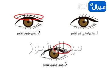اختبار شخصية يكشف هل أنت فضولية ومسرفة للوقت أم لا عبر شكل الجفن في هذا الخداع البصري .. اكتشف المزيد!!