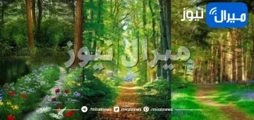 أغرب إختبار شخصية يكشف هل أنت من محبي فصل الصيف والحر ام البرودة عبر شكل الطريق الذي تفضله في الصورة