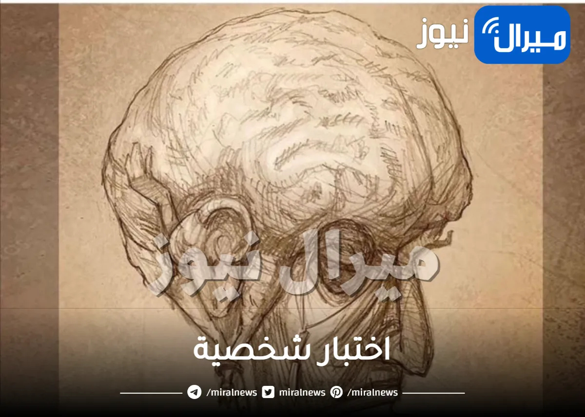 أقوى اختبار شخصية يكشف هل أنت فتاة قوية وشجاعة أم ضعيفة عبر ما ترينه اولا في هذه الصورة