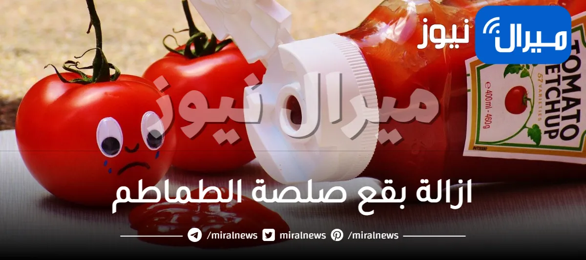 بدون تعب.. مكونات طبيعية لإزالة بقع صلصة الطماطم عن الأثاث والأحذية والسترات الجلدية خلال ثوانٍ