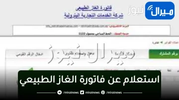 خطوات الاستعلام عن فاتورة الغاز الطبيعي بالرقم القومى إلكترونيًا