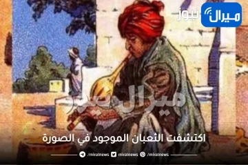 أنت أذكى مما تتصور إن اكتشفت الثعبان الموجود في الصورة خلال 5 ثوانٍ فقط.. خدعة بصرية تكشف مستوى ذكائك (صورة)