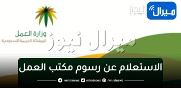 “الكترونيًا” الاستعلام عن رسوم مكتب العمل بالاقامه للاجانب في السعودية