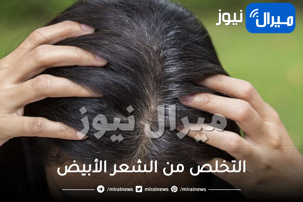 بدون صبغات ولا حناء .. خلطة الملح المعجزة للتخلص من الشعر الأبيض نهائيا بدون رجوع في ثواني معدودة