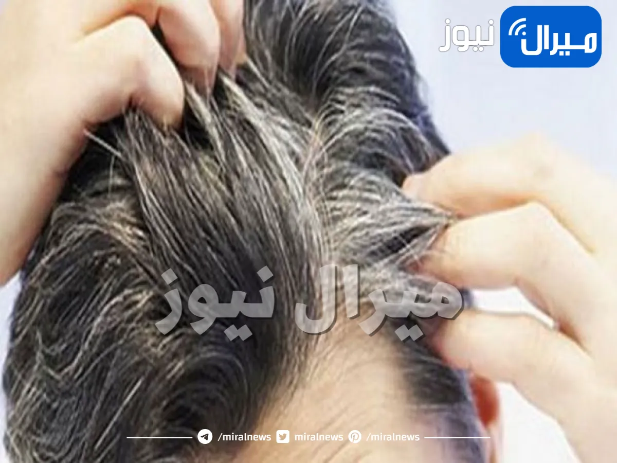 هذه البذرة الصغيرة تحل مشكلة الشيب بشكل جذري.. سوف تدهشك