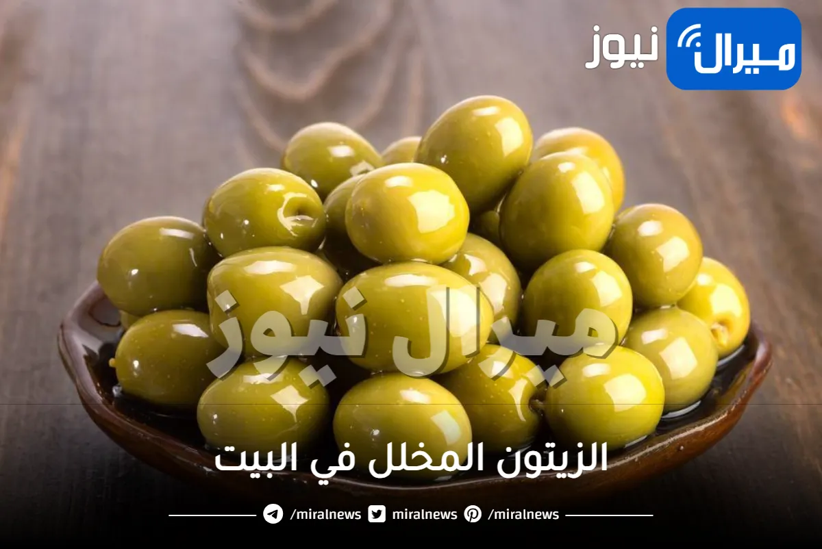 اعملي الزيتون المخلل في البيت بالخلطة السحرية وأنجح من المحلات .. بهذه الطريقة المضبوطة