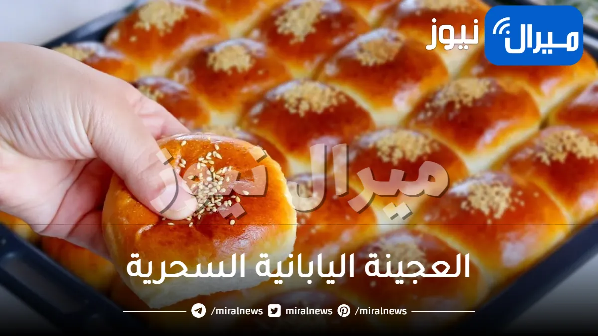 طريقة تحضير العجينة اليابانية السحرية الرائعة لجميع المخبوزات والفطائر والبيتزا باسرار الشيفات .. خفيفة كالقطن بدون تكاليف