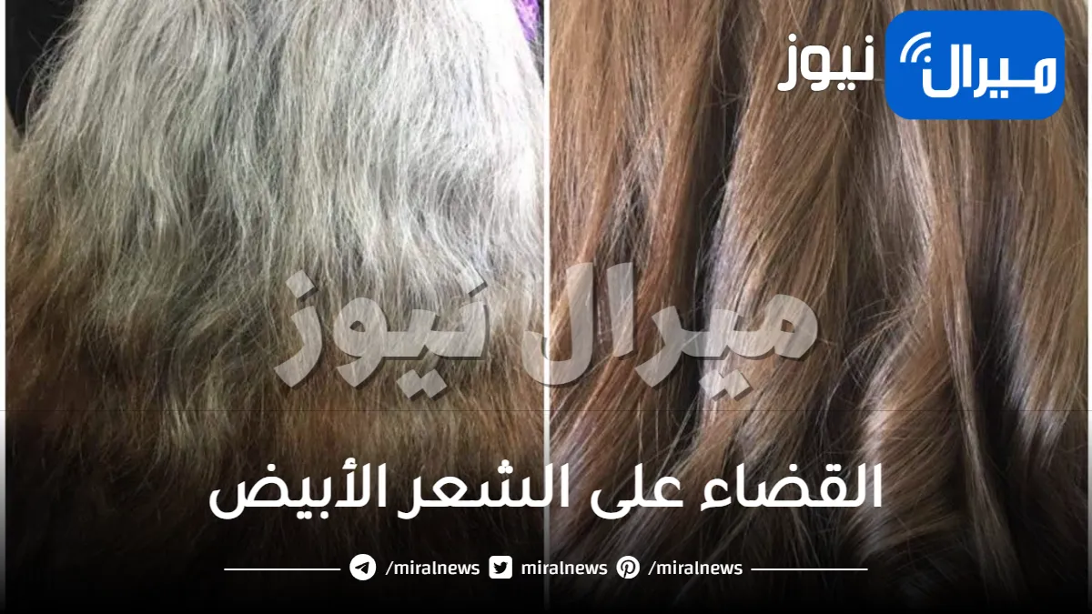 اسرار القضاء على الشعر الأبيض بمكون طبيعي جبار متوفر في كل منزل .. جربه وقل وداعاً للشيب بدون صبغ الشعر