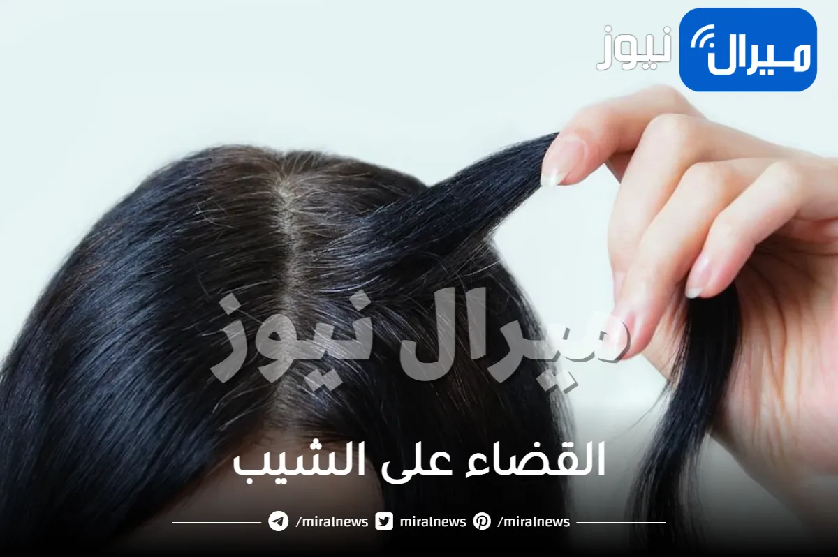 تخلصي من شيب الرأس بوصفة طبيعية فعالة بدون صبغة تعيد حيوية وشباب شعرك.. آمنة وفعالة
