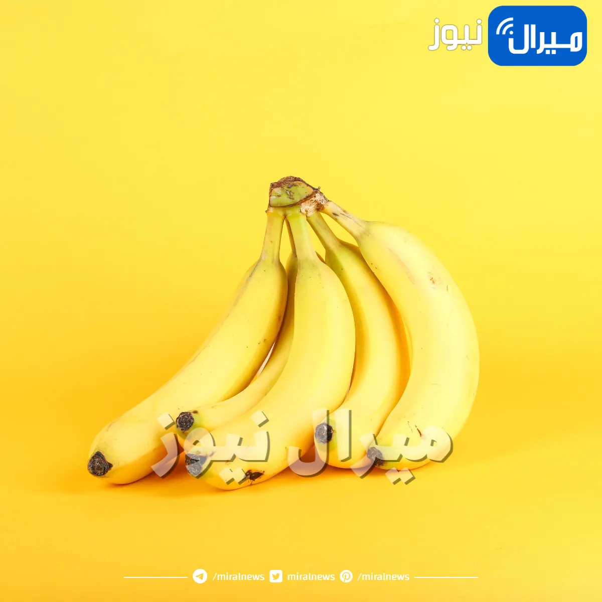 سم قاتل خلال 12 ساعة فقط .. عند اكل هذا الموز سوف يؤدي الي موتك!