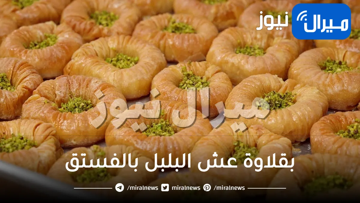 لأفخم ضيافة.. حضّري بقلاوة عش البلبل بالفستق الحلبي في المنزل بكل أسرارها وتكاتها