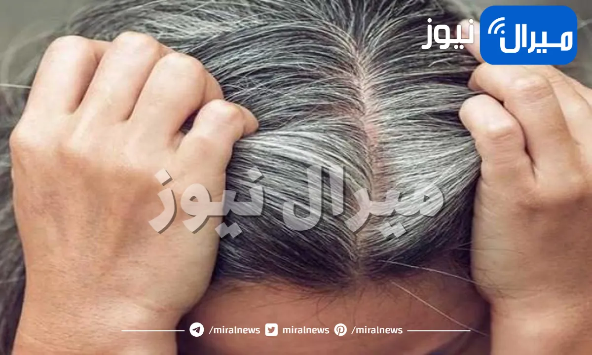بمكون واحد فقط تخلصي من شيب الشعر تماما وإلى الأبد .. مكون يغفل عنه الجميع بدون حناء يخلّصك من الشعر الأبيض تماما في ساعة واحدة!
