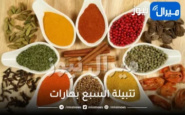 طريقة عمل تتبيلة السبع بهارات في المنزل بنفسك ولن تحتاجي شرائها مرة أخرى