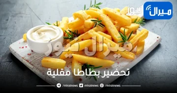 طريقة مبتكرة لتحضير بطاطا مقلية مقرمشة كالمطاعم بالضبط.. بالخل الأبيض