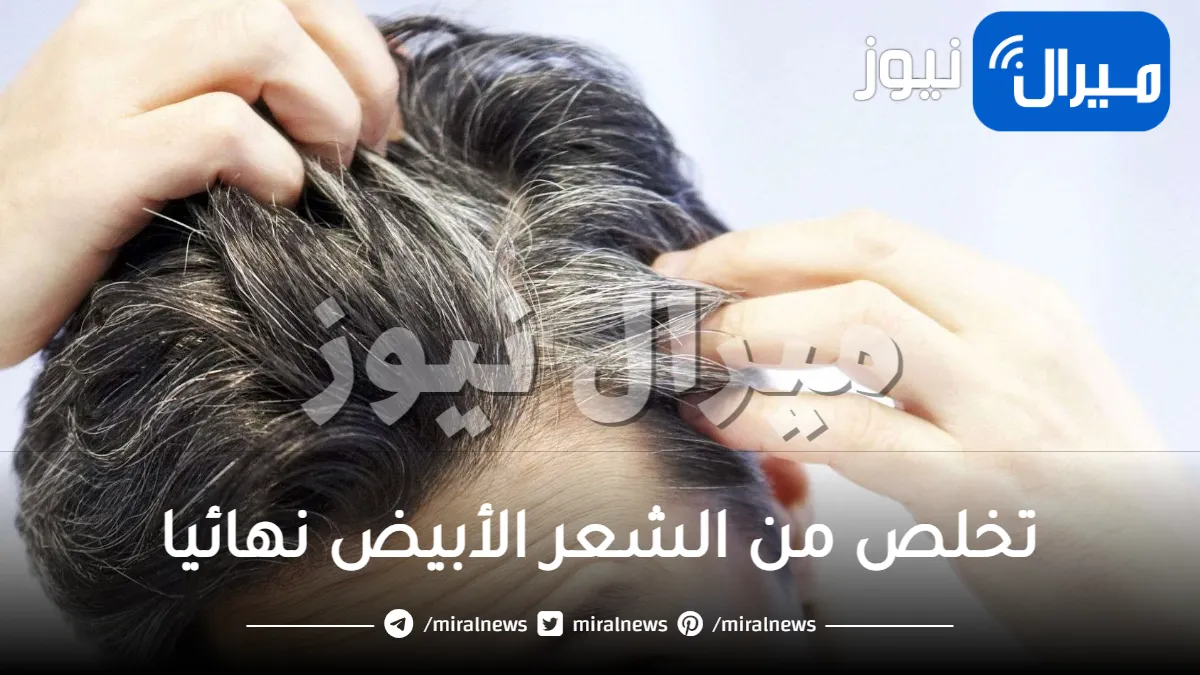 خلطة الملح الإعجازية للقضاء على الشعر الأبيض نهائيا وبدون حناء .. لن يعود مرة أخرى