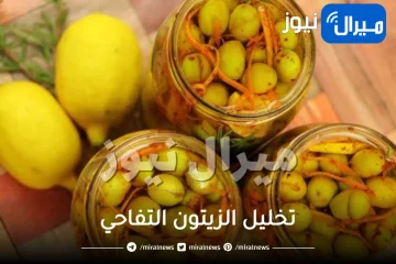 الطريقة الصحيحة لتخليل الزيتون التفاحي.. اتبعيها واحصلي على افضل مخلل