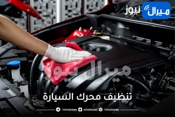 تحذير: تنظيف محرك السيارة يدمرها ويقلل عمرها الافتراضي لهذا السبب .. تعرف على وسيلة التنظيف الصحيحة من الداخل بدون أضرار ومخاطر!
