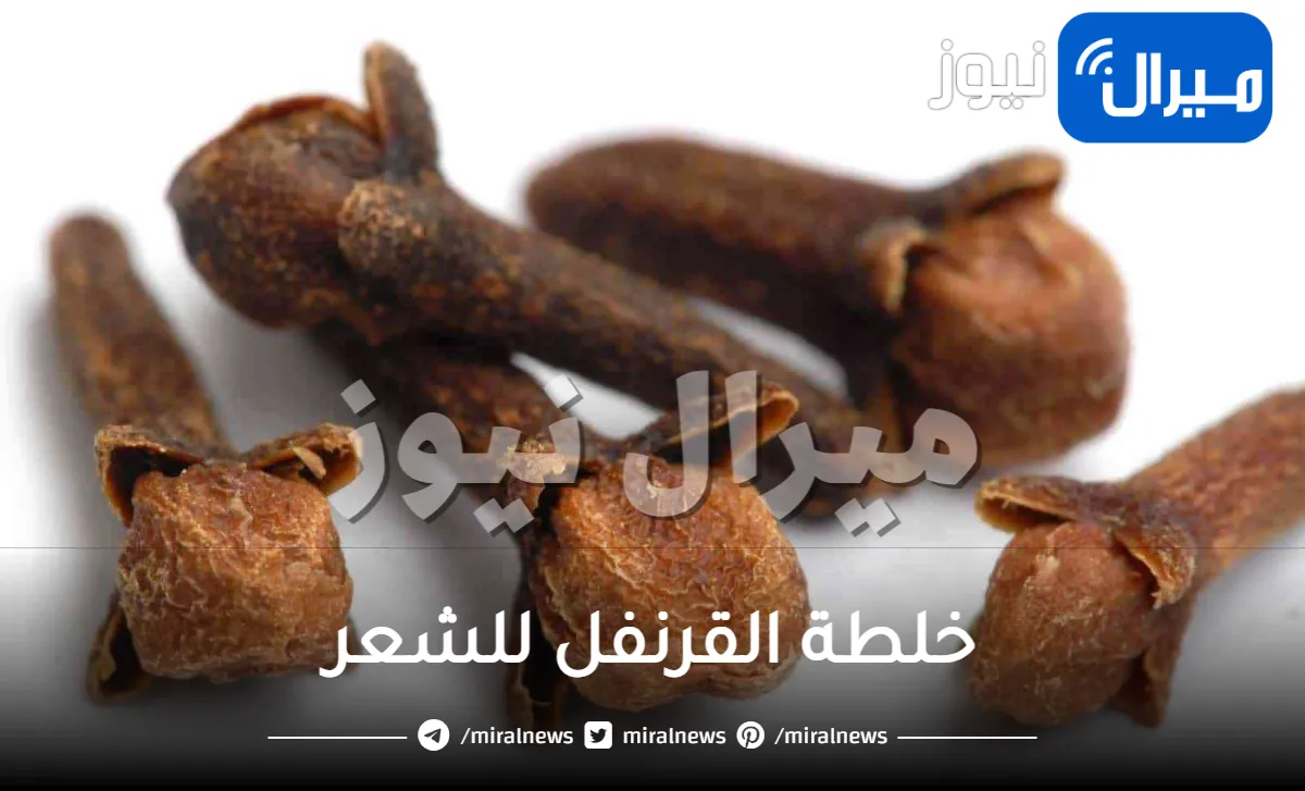يعالج أكثر من 5 مشاكل وأمراض متعلقة بالشعر.. معجزة القرنفل التي لم تسمع بها من قبل