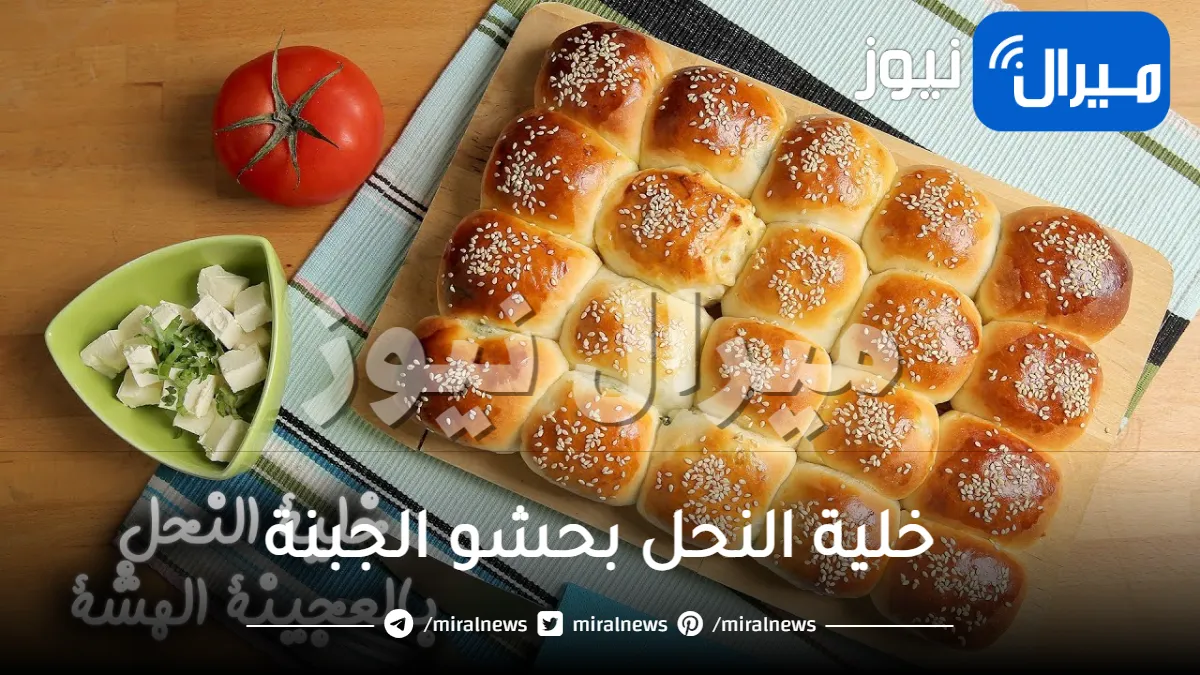 طريقة عمل خلية النحل بحشو الجبنة بسهولة في المنزل وتناولها في الفطار