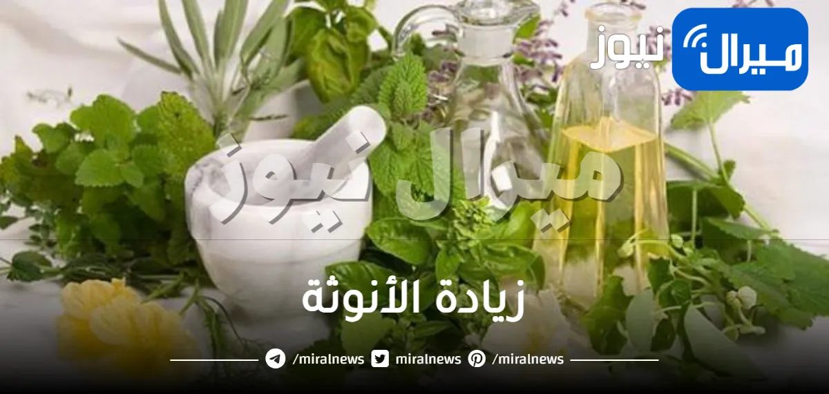 أقوى مشروب لزيادة الأنوثة والحل المثالي لجميع مشاكل ارتفاع هرمون الذكورة في جسم الأنثى