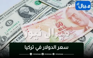 أسعار الدولار في تركيا اليوم “الخميس 4 يناير” 2024 في سوق المال والبنوك