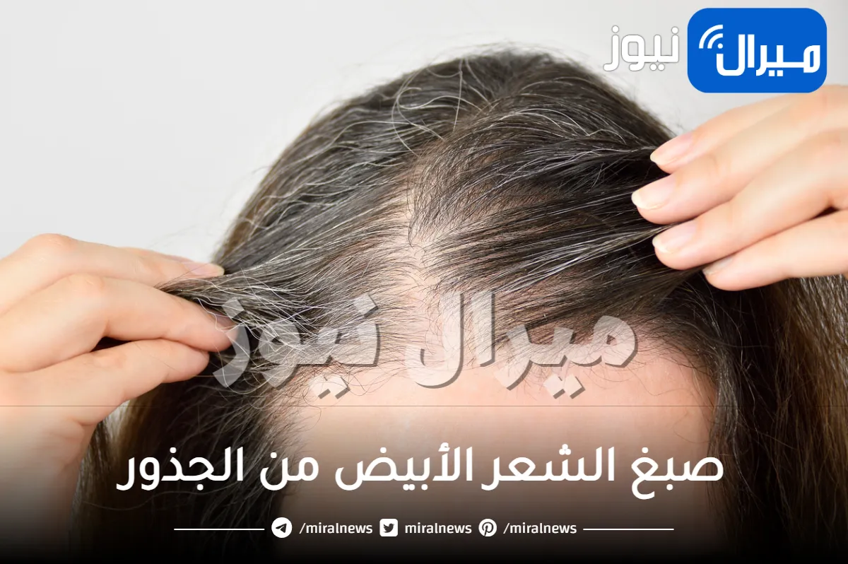 الخلطة المعجزة لصبغ الشعر الأبيض من الجذور والتخلص من الشيب في يومين فقط.. حل فعال بنسبة 100%