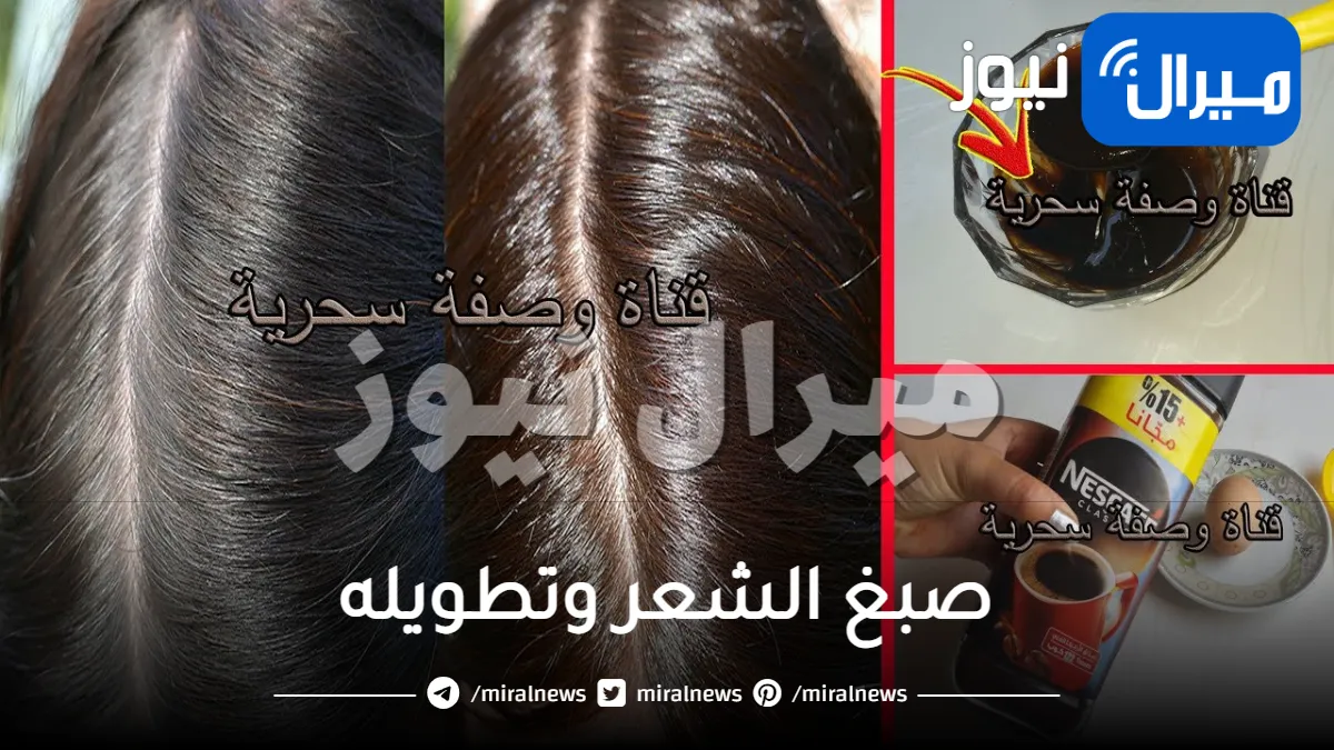 اسهل طريقة بالحنا لصبغ الشعر وتطويله واخفاء الشيب المبكر بوقت قياسي