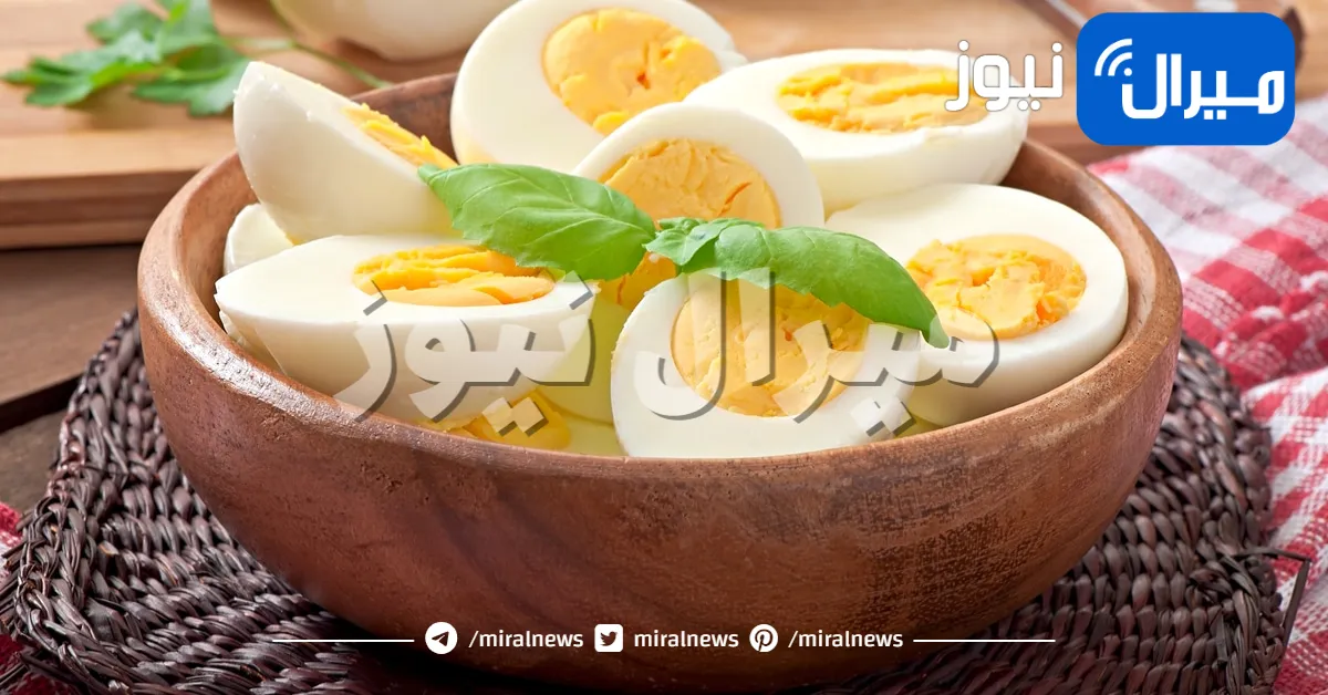 أخصائية تغذية تكشف عن سحر صفار البيض في تحسين الهضم وتقوية العظام