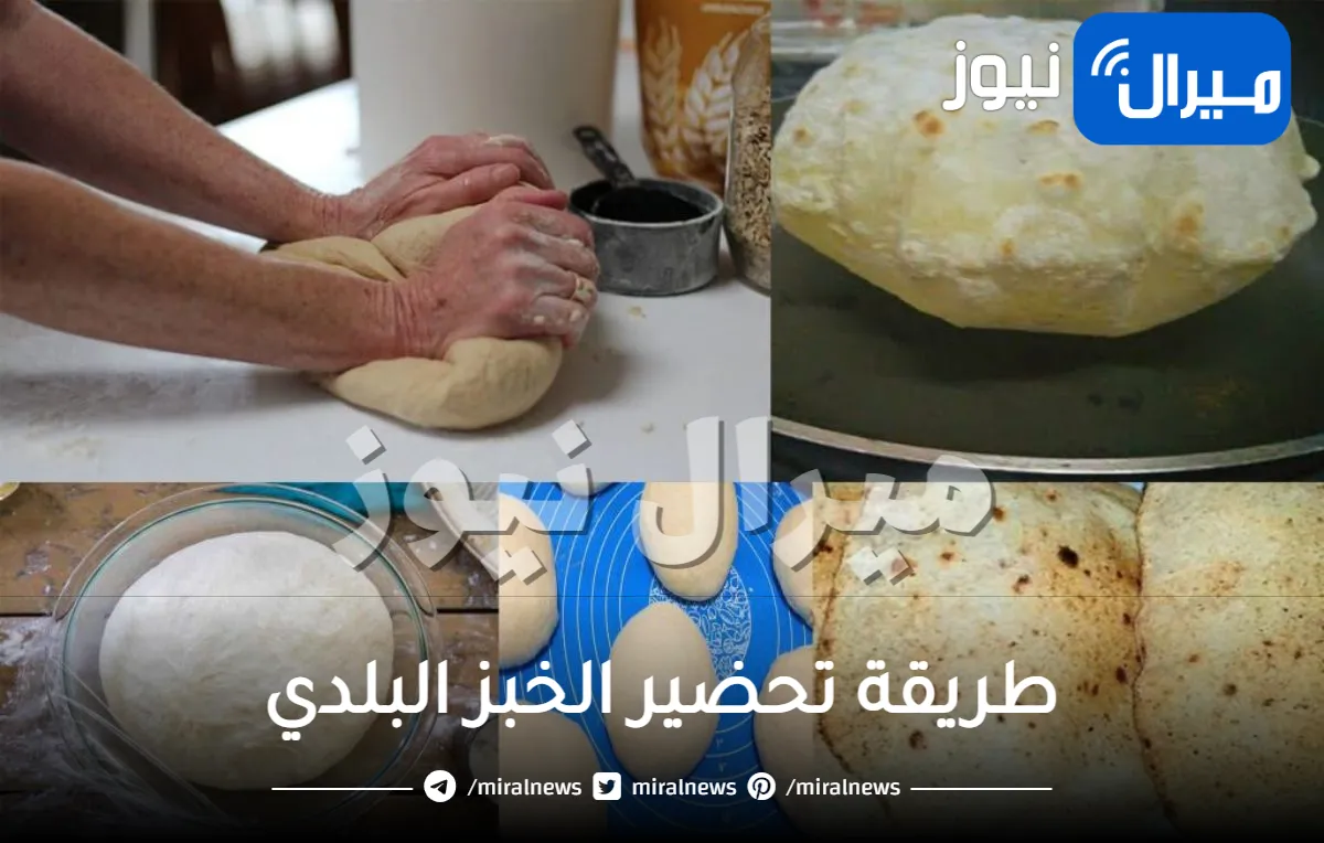 بـ 2 كوب دقيق فقط .. واصنعي اكثر من 30 رغيف من العيش البلدي بدون فرن وبسر نجاح الخبز من اول مرة