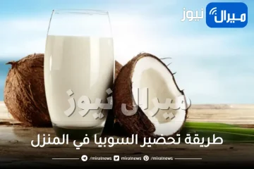 بثلاث مكونات فقط حضري السوبيا في المنزل بخطوات سهلة جدا